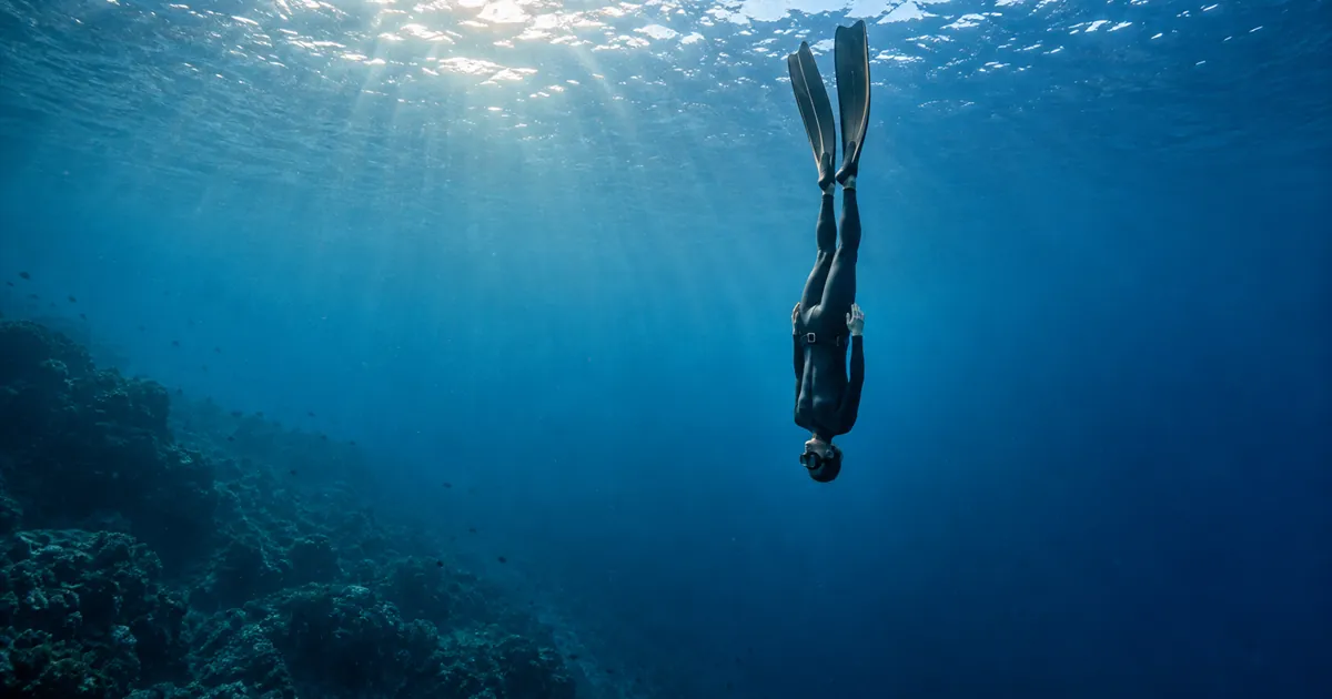 Freediving Level 2 Course: Full Guide|Assessment Standards, Difficulty, and Costs