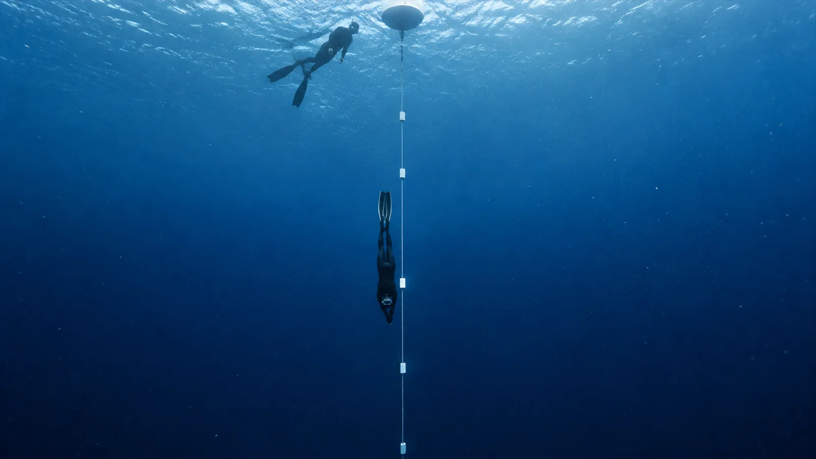 Freediving World Records Explained | Records by Discipline, Recognition Rules, and Milestones